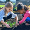 Gardening School